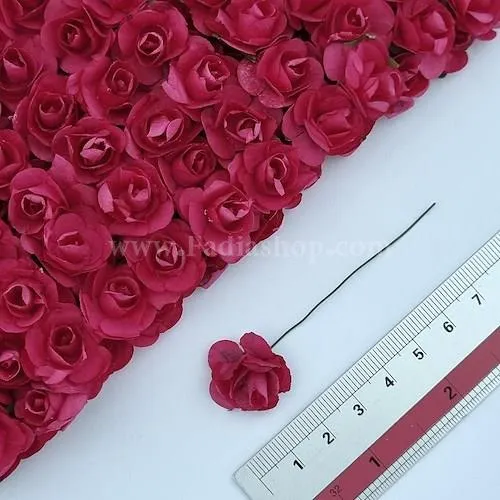 گل رز متوسط سرخابی