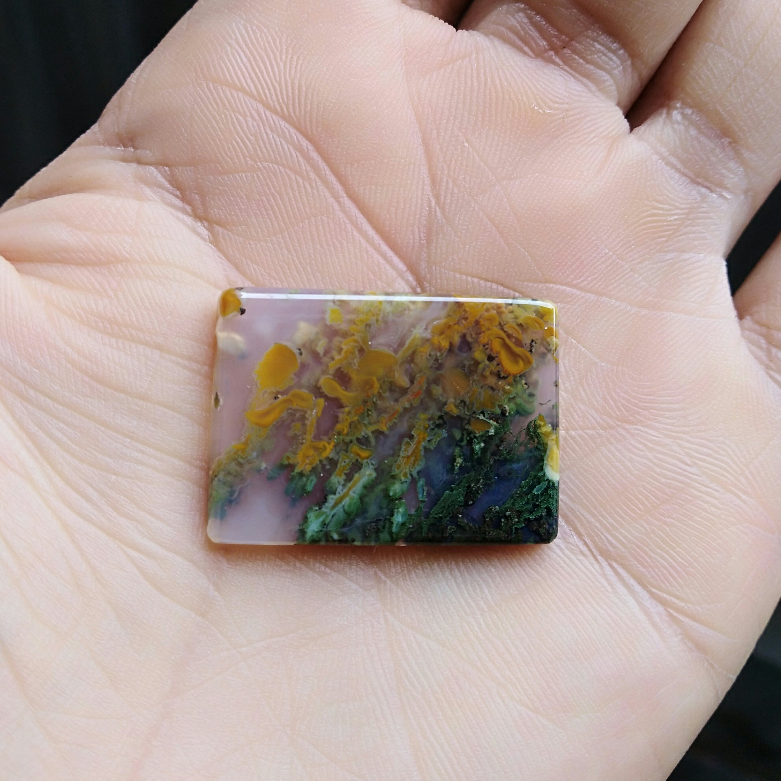 نگین شجر منظره محشر شاهکار خلقت کاملا طبیعی