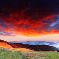 خرید و دانلود عکس Nature-Part-8 کد 37259 | پیک فاکس | Pic Fox