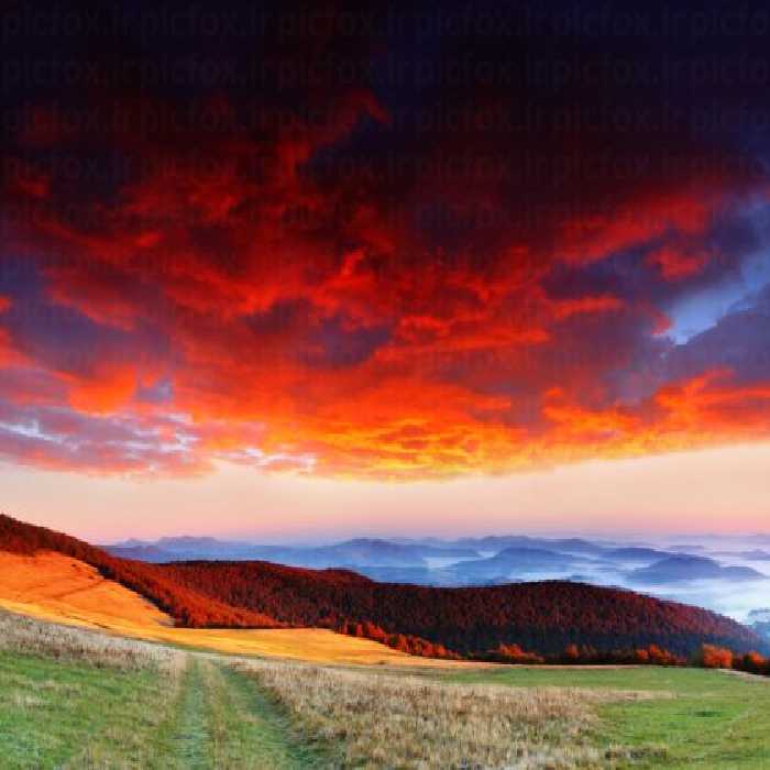 خرید و دانلود عکس Nature-Part-8 کد 37259 | پیک فاکس | Pic Fox