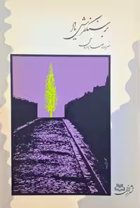بر سنگفرش یاد اثر صابر امامی