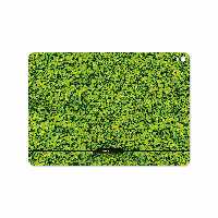 برچسب پوششی ماهوت مدل Leafs مناسب برای تبلت اپل iPad Pro 9.7 2016 A1675