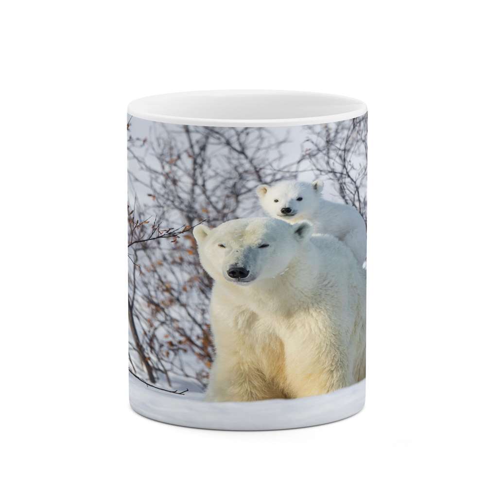 ماگ کاکتی طرح خرس مدل mgs14337