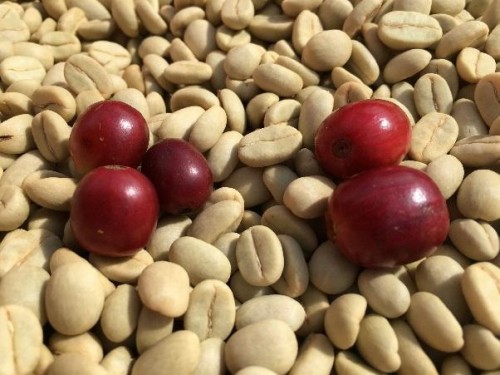 میکس قهوه هاوایی - فروشگاه آنلاین قهوه