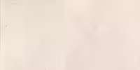 سرامیک کف گلدیس کاشی مدل موزاییکو در ابعاد 40×40