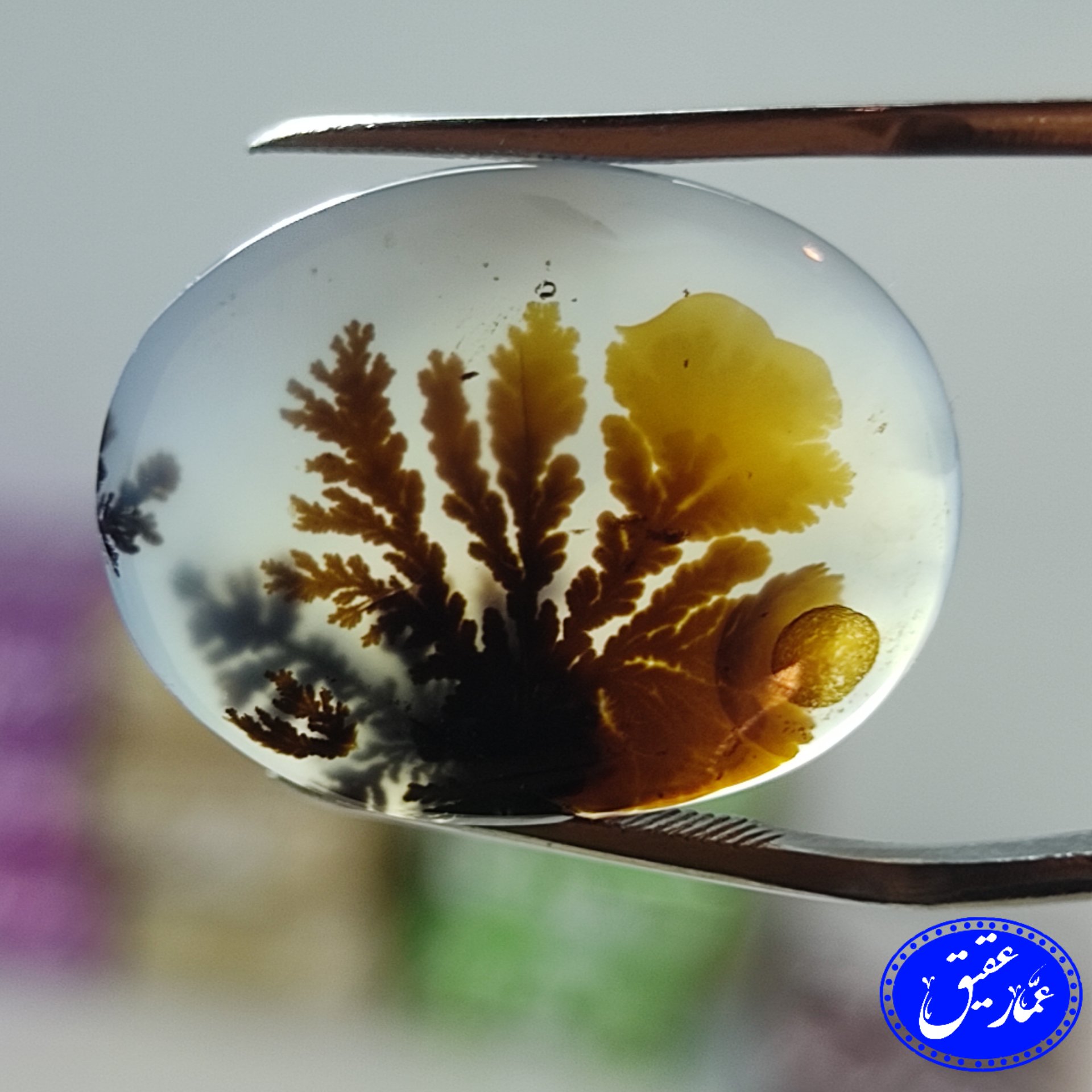 عقیق شجر گل نارنجی قائنات