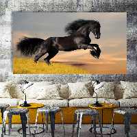 تابلو بوم کد 695