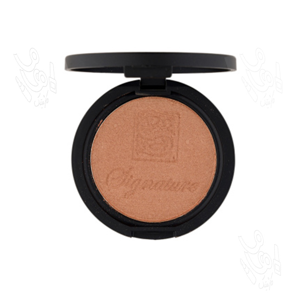 هایلایتر سیگنیچر کد 102