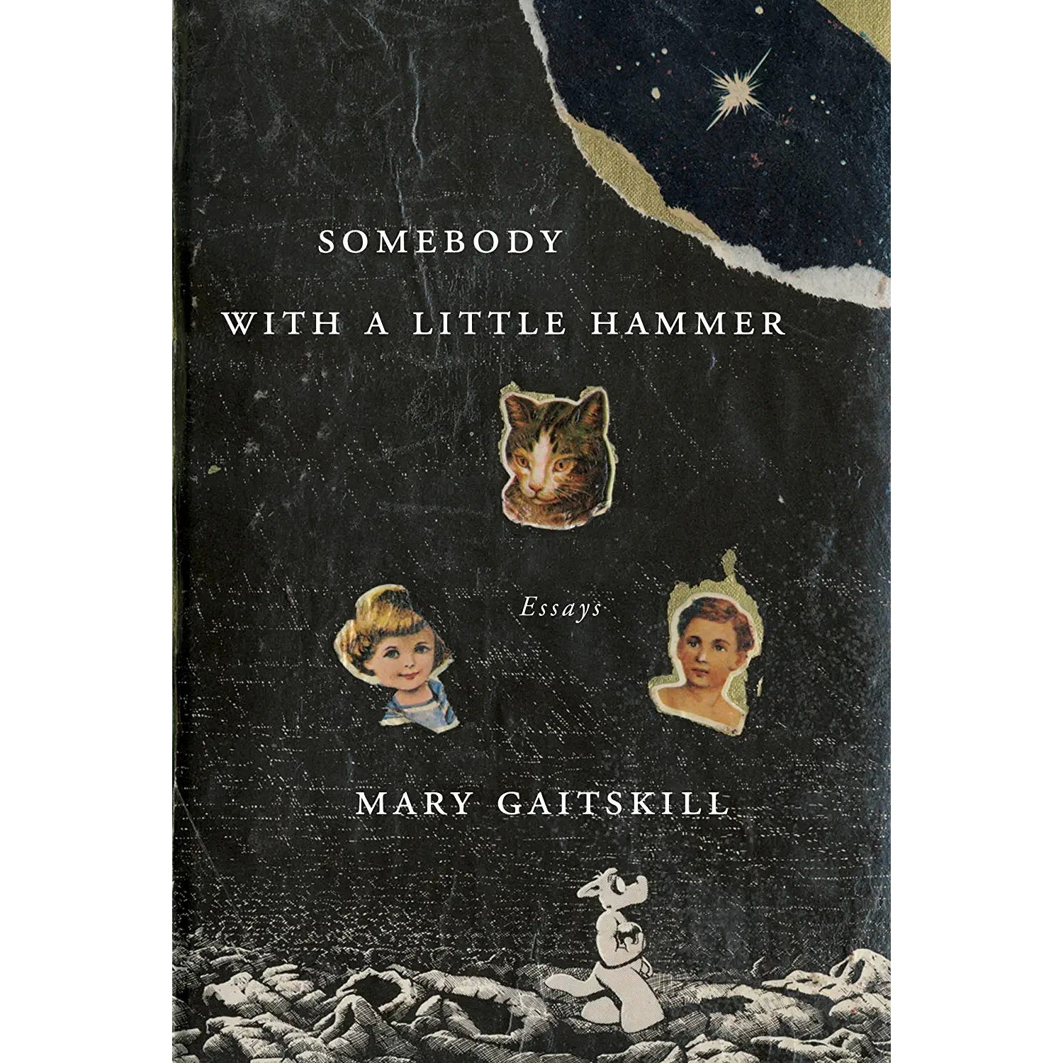 کتاب Somebody with a Little Hammer اثر Mary Gaitskill انتشارات Pantheon