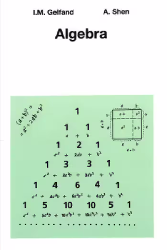 خرید و دانلود نسخه کامل کتاب Algebra