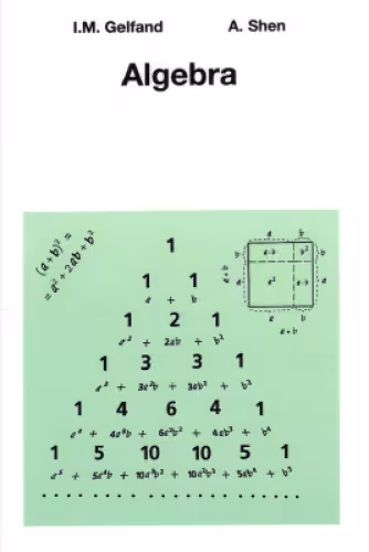 خرید و دانلود نسخه کامل کتاب Algebra