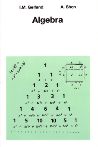 خرید و دانلود نسخه کامل کتاب Algebra