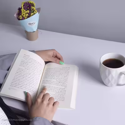 کتاب ادبیات امروز آلمان اثر تورج رهنما نشر چشمه