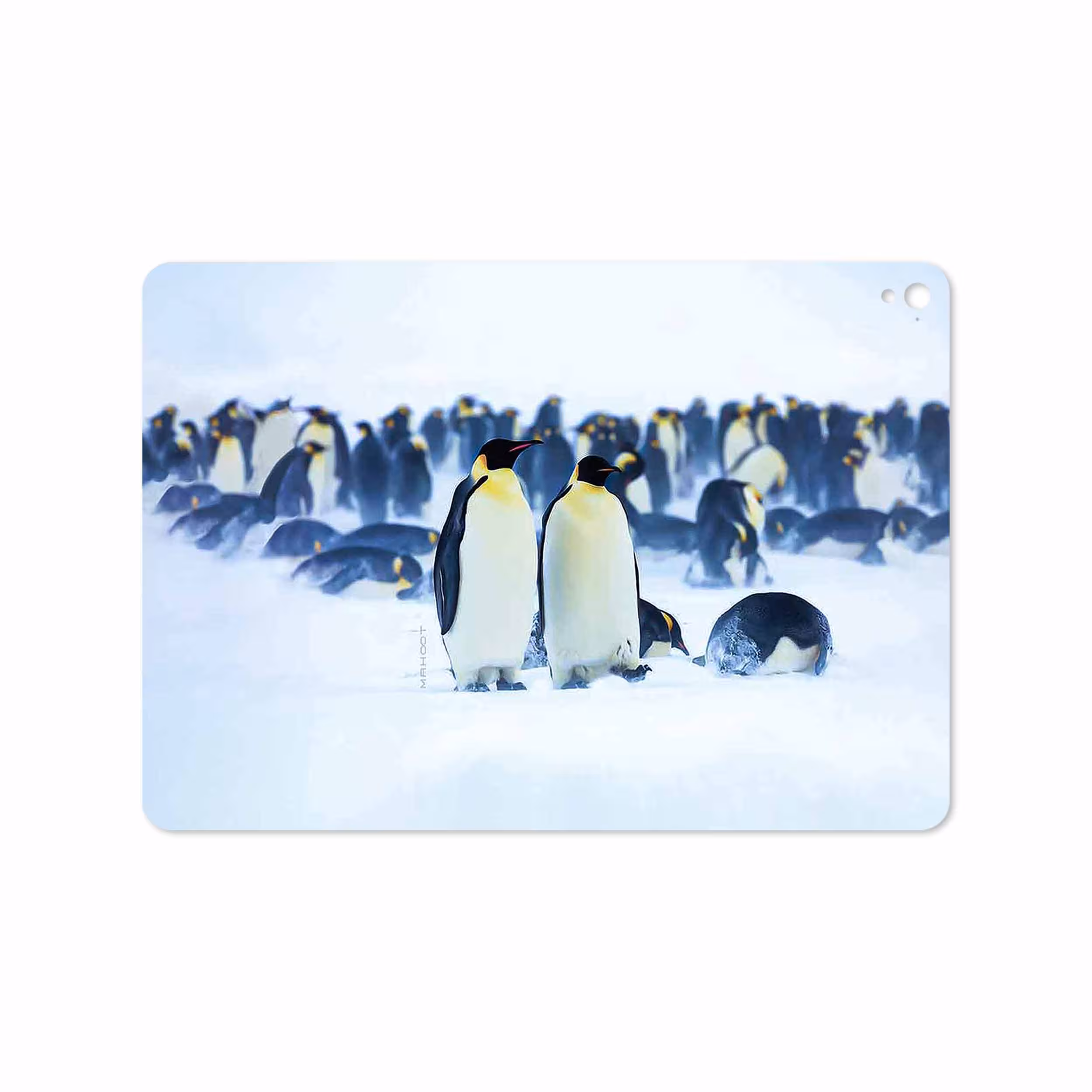 برچسب پوششی ماهوت مدل Penguin مناسب برای تبلت اپل iPad Pro 9.7 2016 A1673