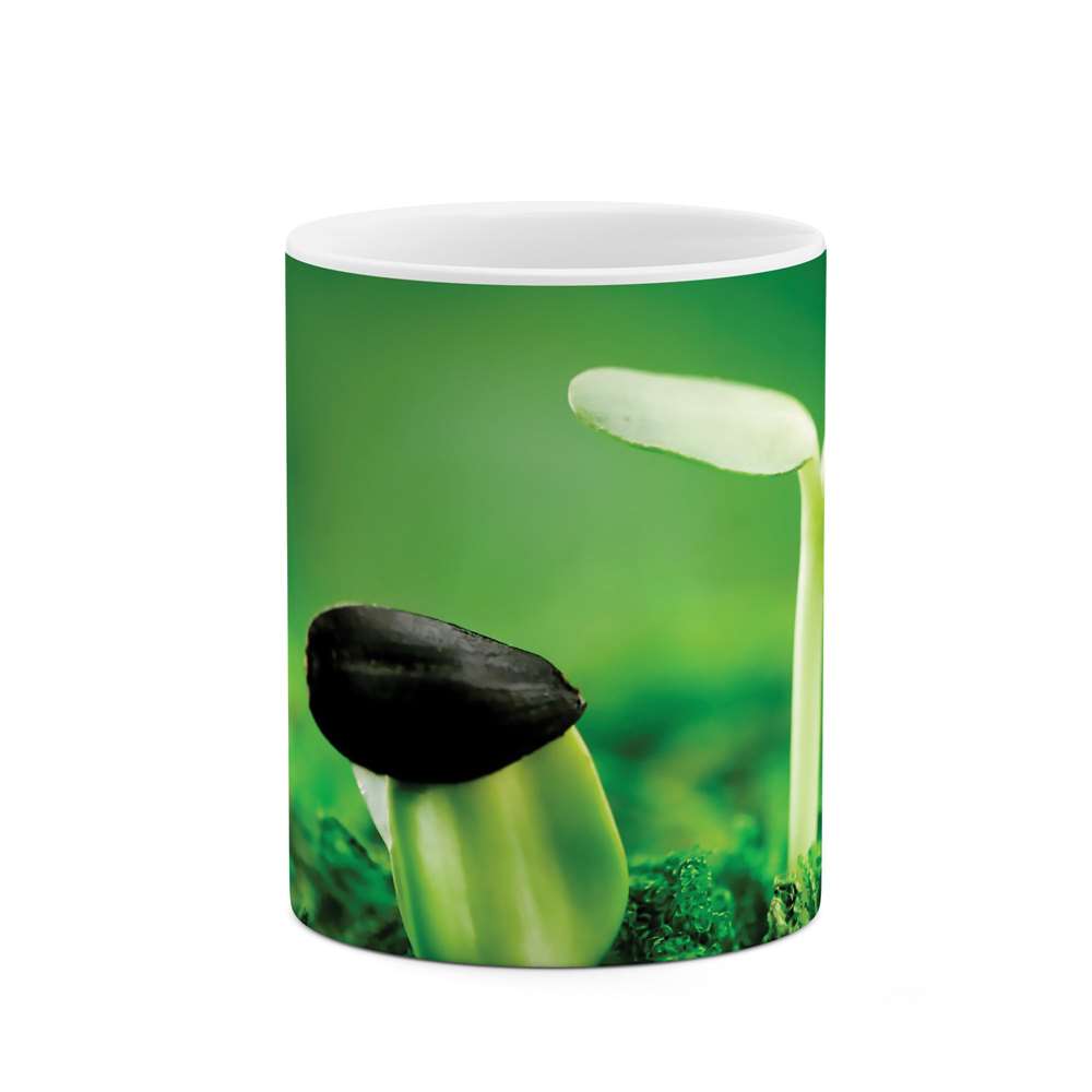 ماگ طرح جوانه مدل mgs05092