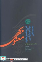 قیمت و خرید کتاب بحر معنوی اثر عبدالرحیم گواهی | ایده بوک