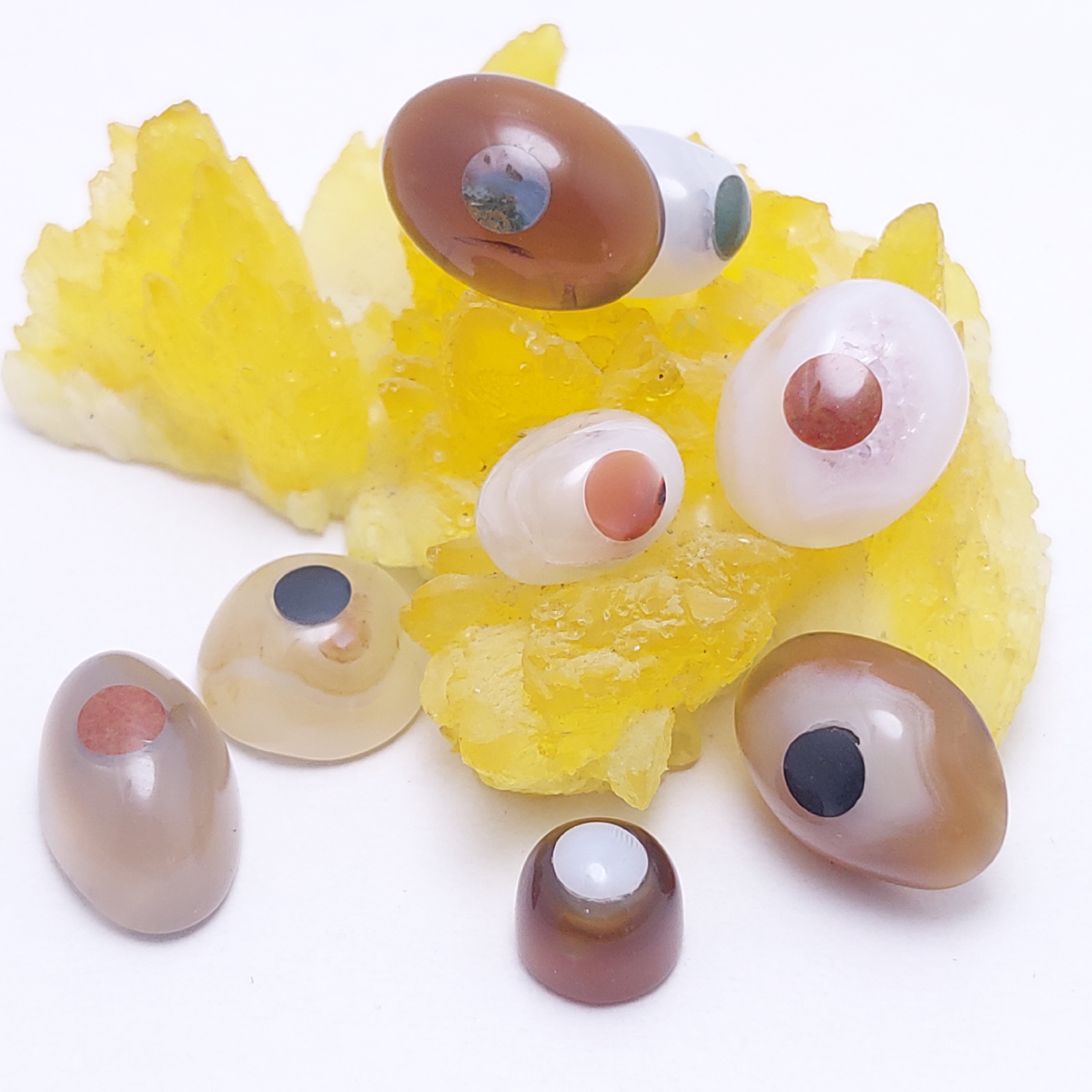 نگین باباقوری 