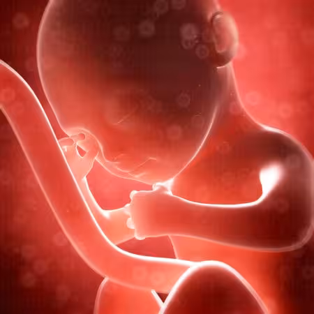 خرید و دانلود عکس Medical-Part-3 کد 32564 | پیک فاکس | Pic Fox
