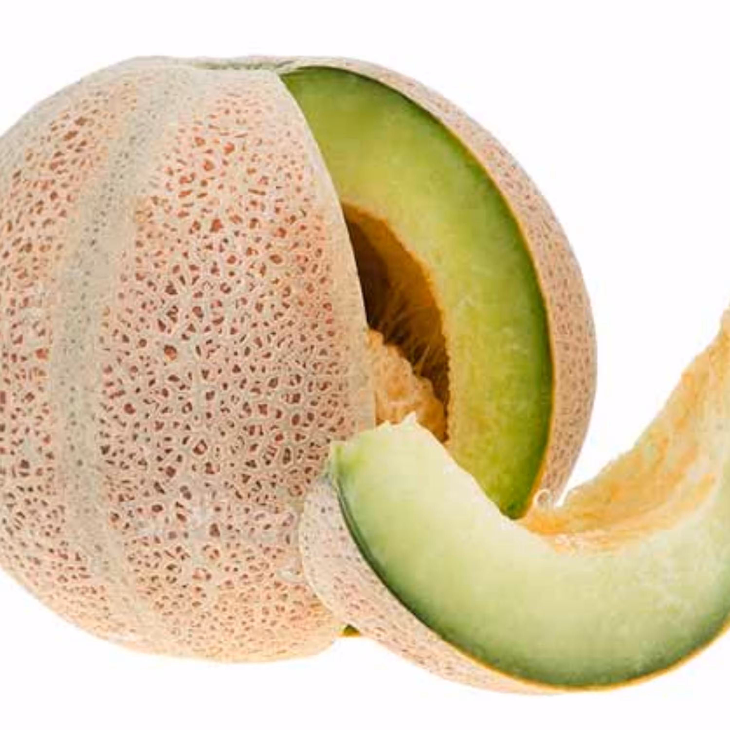 بذر طالبی 20 عددی 