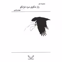 کتاب راز مگوی مرد غزلگو اثر مهدی زارعی