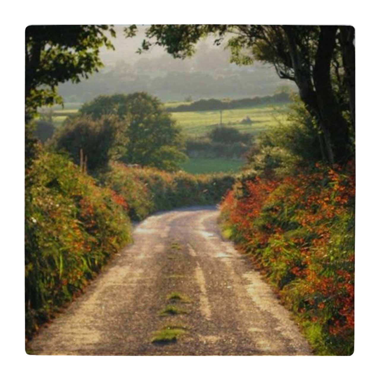  کاشی کارنیلا طرح جاده ای در مزرعه کد wk4852