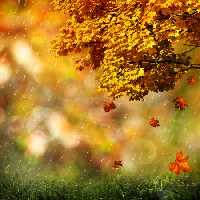 خرید و دانلود عکس Nature-Part-21 کد 36103 | پیک فاکس | Pic Fox