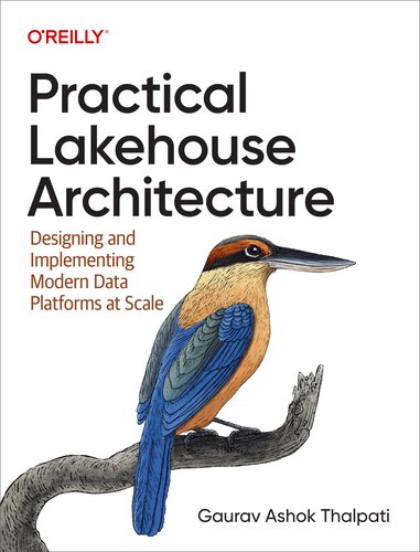 خرید و دانلود نسخه کامل کتاب Practical Lakehouse Architecture: Designing and Implementing Modern Data Platforms at Scale