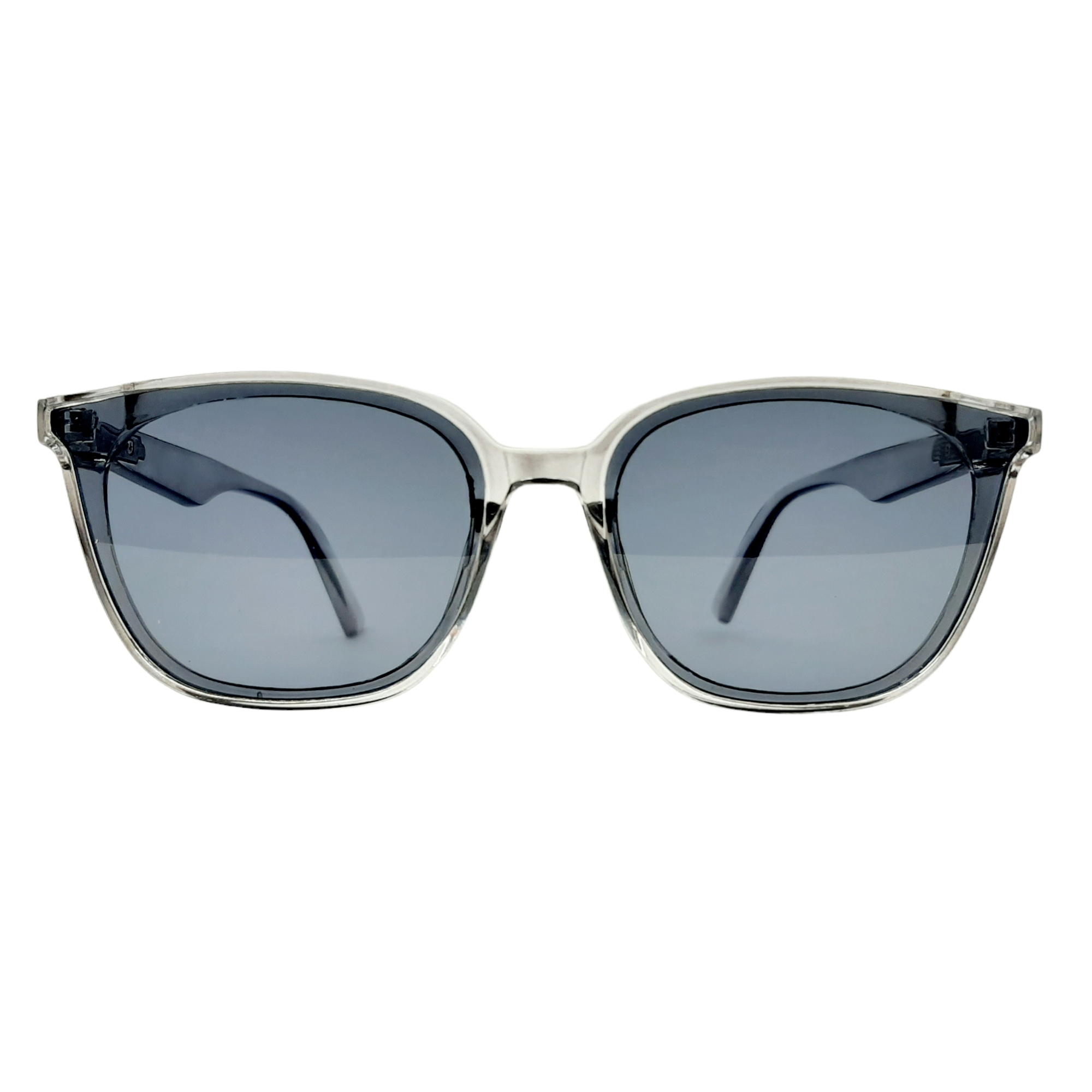 عینک آفتابی مدل ZN3603tbl