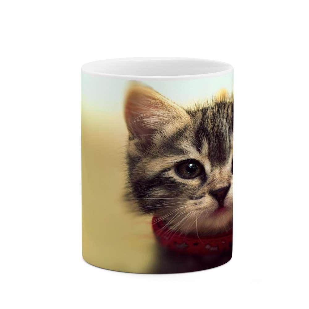 ماگ کاکتی طرح گربه مدل mgs14062