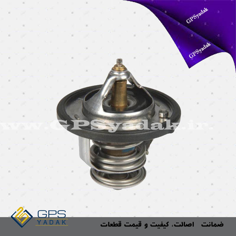 ترموستات کیا کارنز