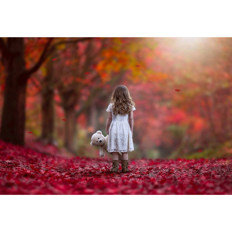 تابلو شاسی طرح منظره پاییز دختر بچه عروسک خرس برگ خشکیده درخت مدل T1308 | دنیای قاب