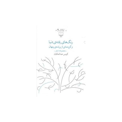 کتاب رنگ های رفته دنیا اثر گروس عبدالملکیان