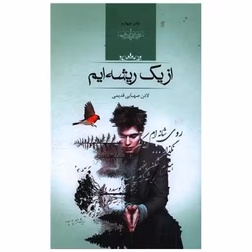 کتاب از یک ریشه ایم (گالینگور) اثر لادن صهبایی قدیمی