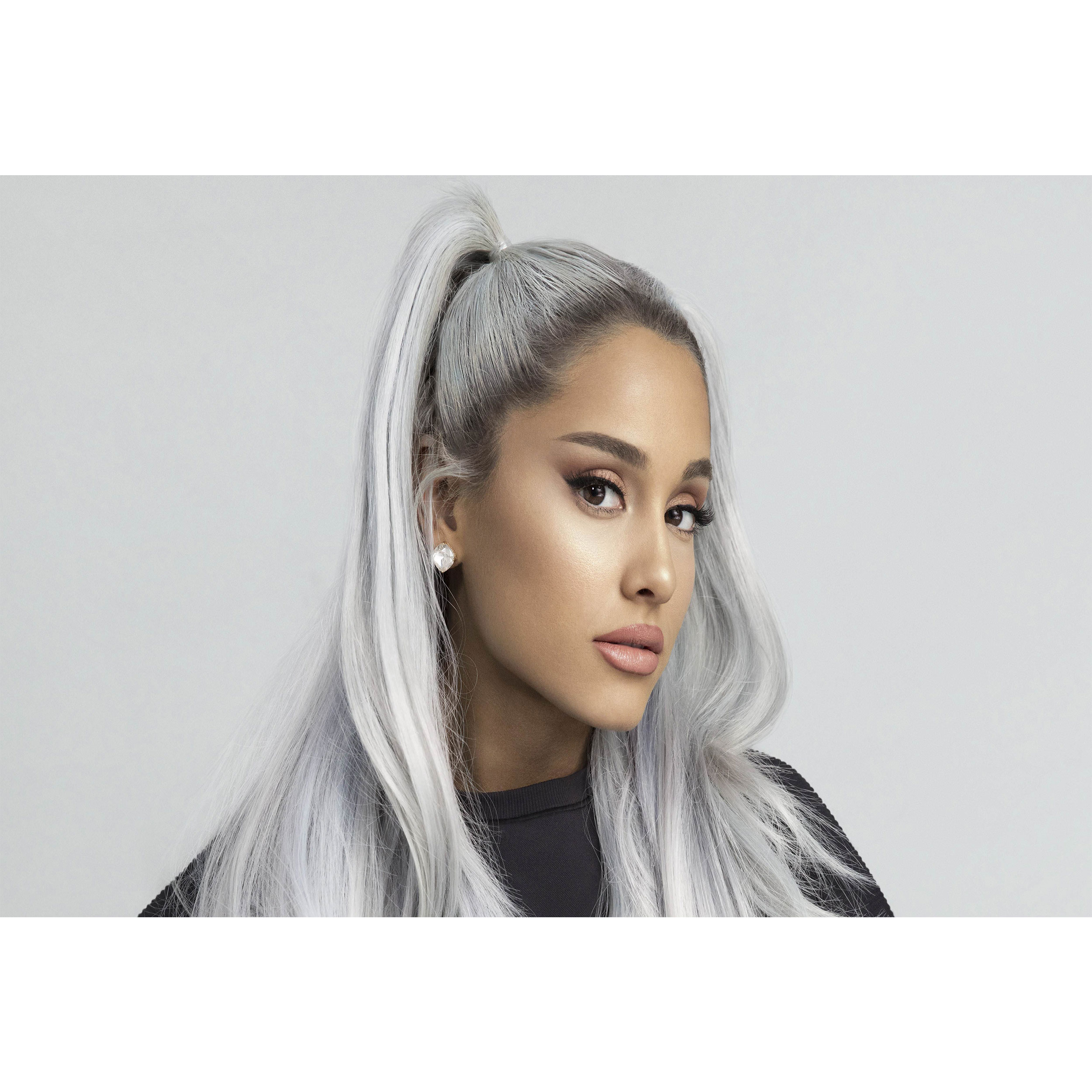 تابلو شاسی مدل خواننده آریانا گرانده T6022