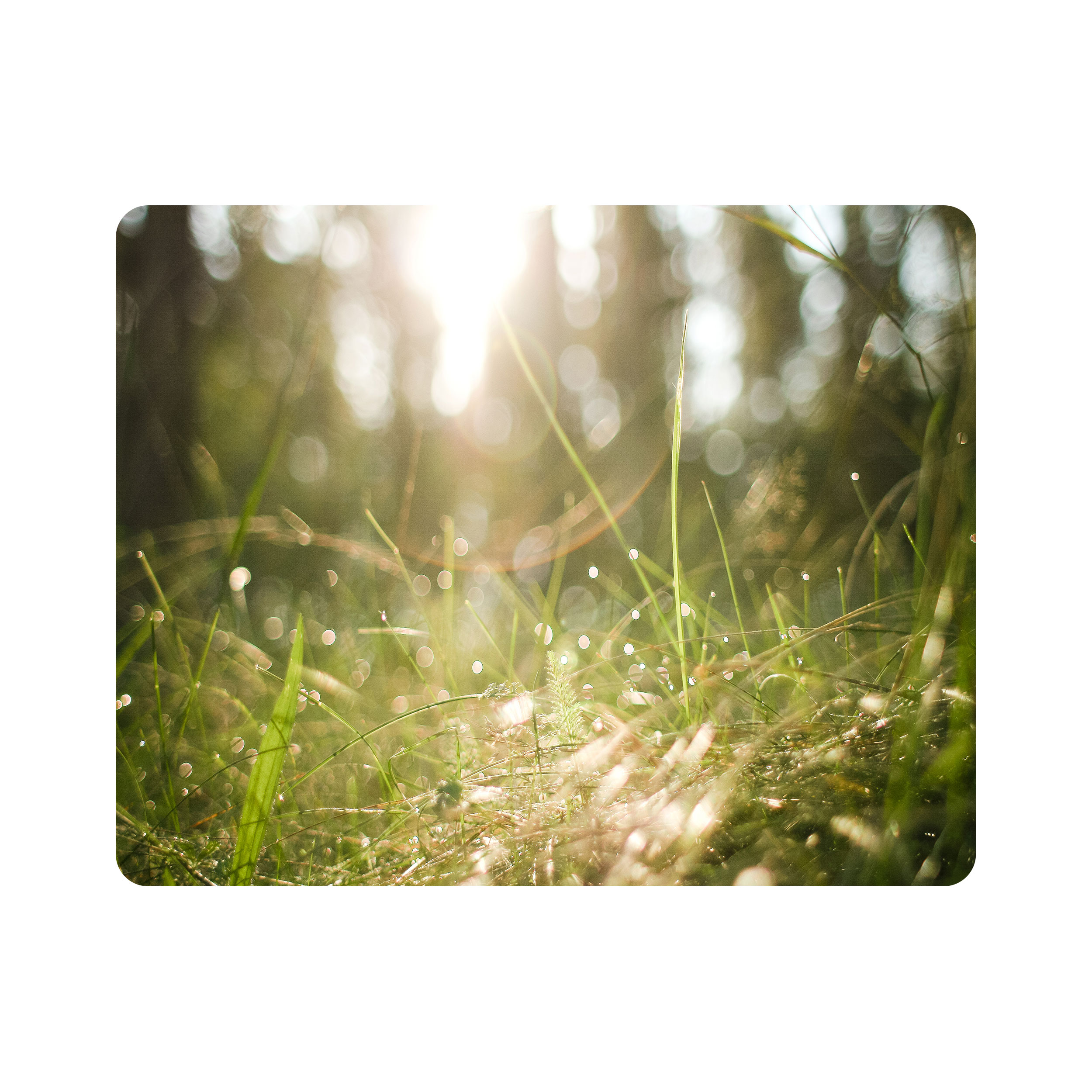 ماوس پد اطلس آبی طرح منظره چمن و آفتاب مدل T1824