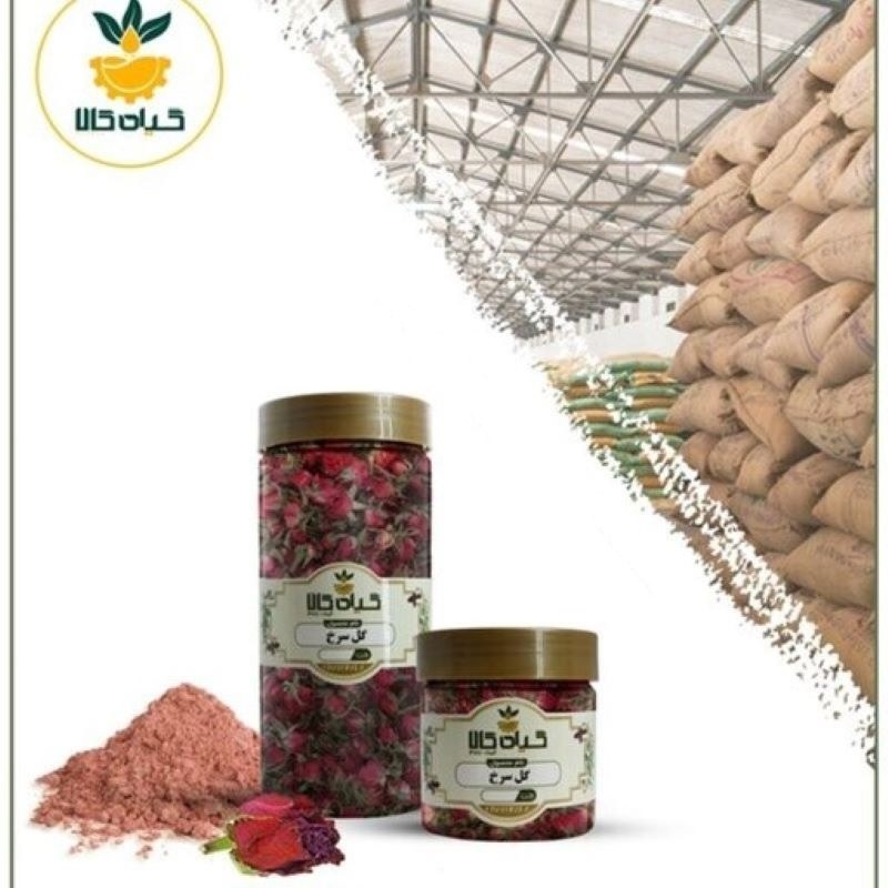  گل سرخ با کیفیت عالی، بار امسالی و تازه(2کیلوگرم)