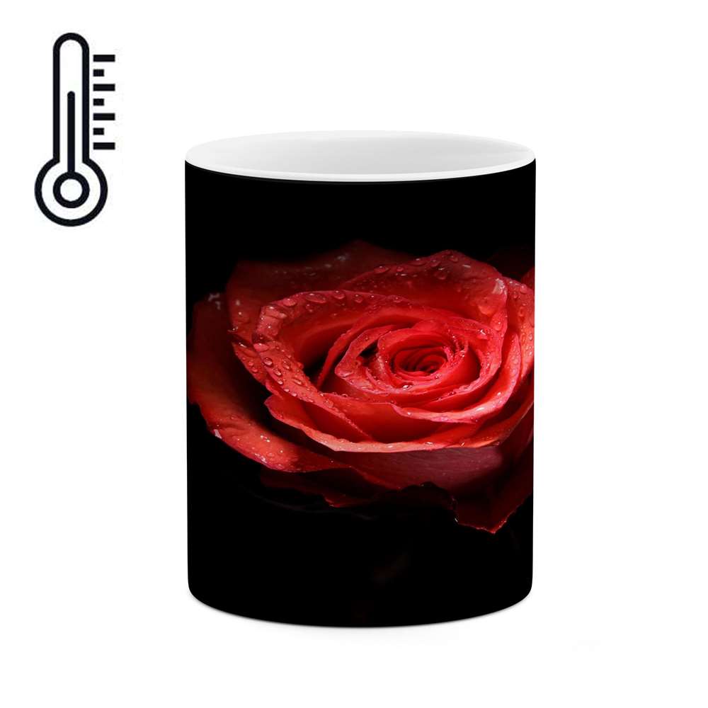 ماگ حرارتی 
کاکتی طرح گل رز مدل mgh18056