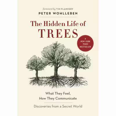 کتاب The Hidden Life of Trees اثر Peter Wohlleben انتشارات Greystone Books