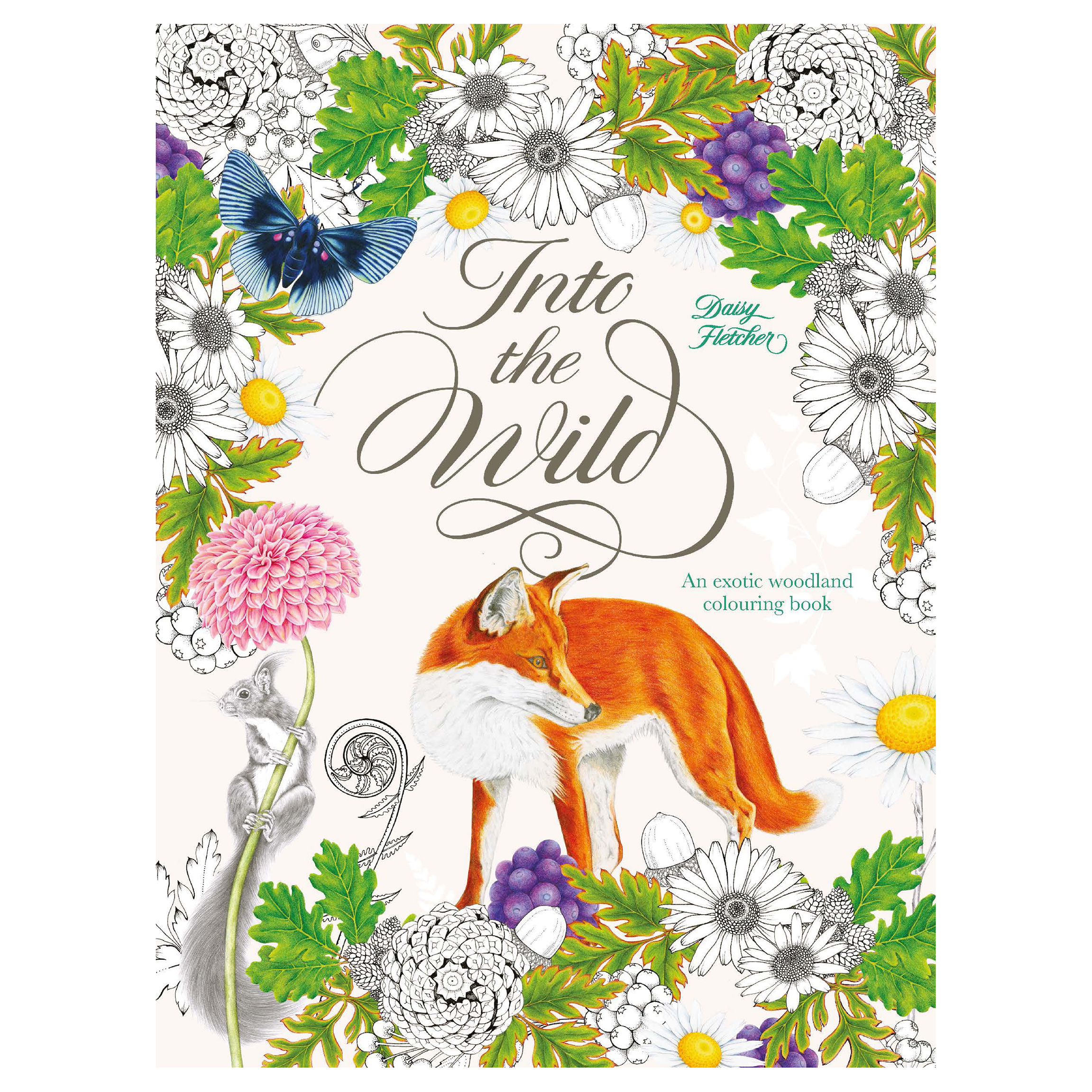 کتاب Into the Wild اثر Daisy Fletcher انتشارات Laurence King