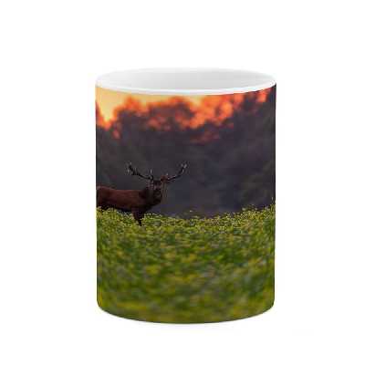 ماگ کاکتی طرح منظره مدل mgs16019