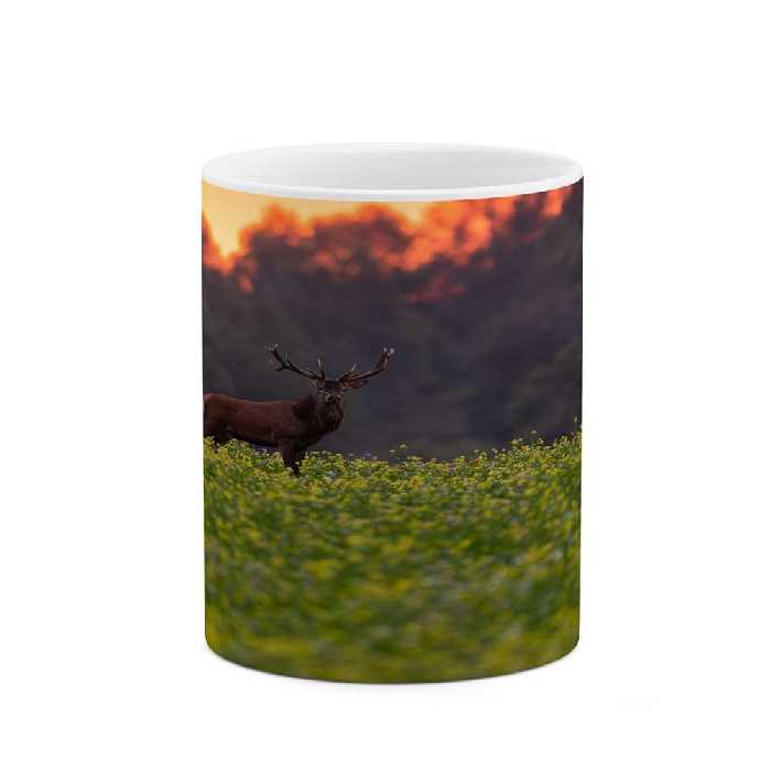 ماگ کاکتی طرح منظره مدل mgs16019