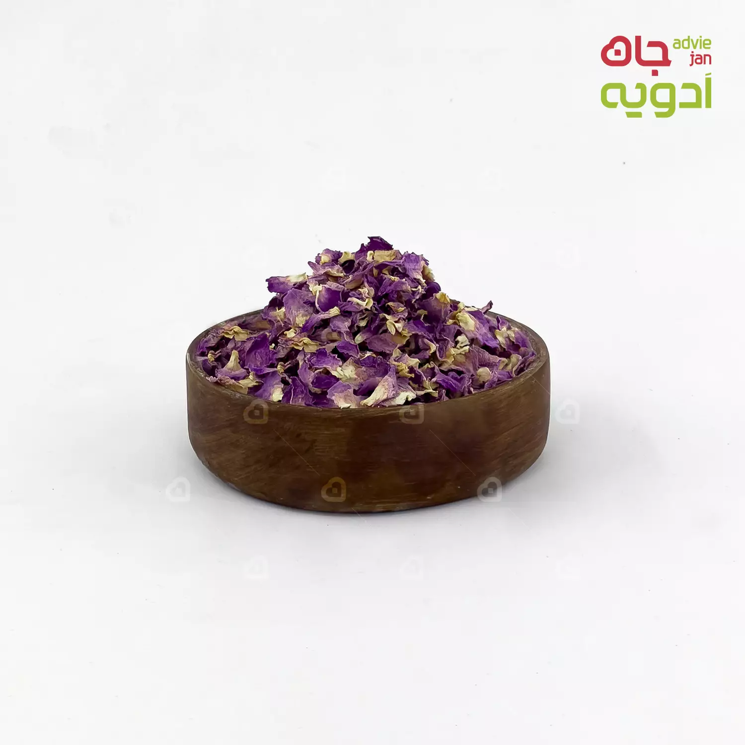 پر گل محمدی