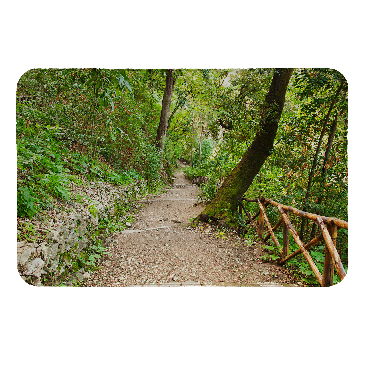  رطوبت گیر کنار سینک کد 120