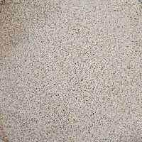 کنجد سفید - 500 گرم