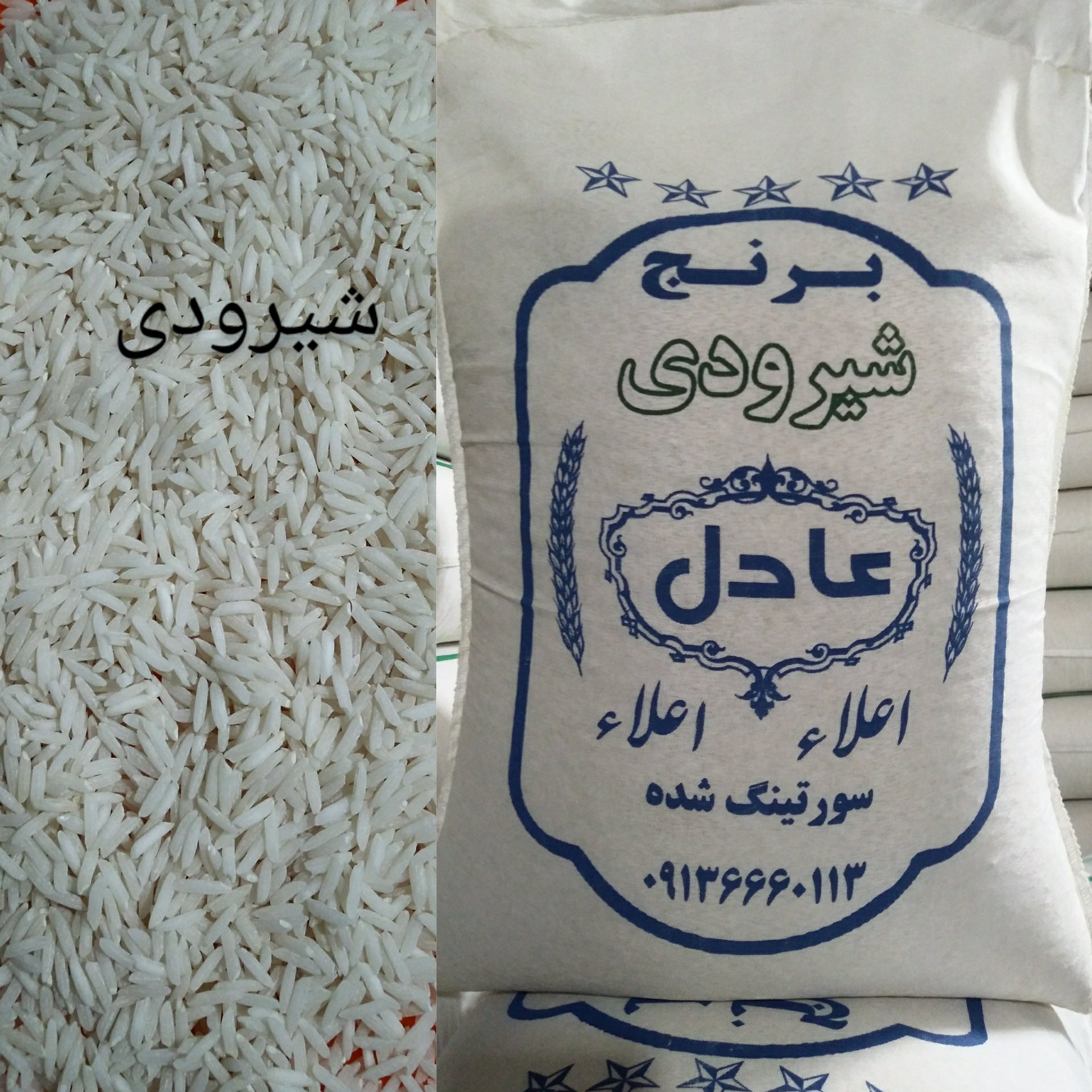 برنج شیرودی طارم محلی مجلسی خوش پخت قد بلند برنج شمال (دو کیلوئی)