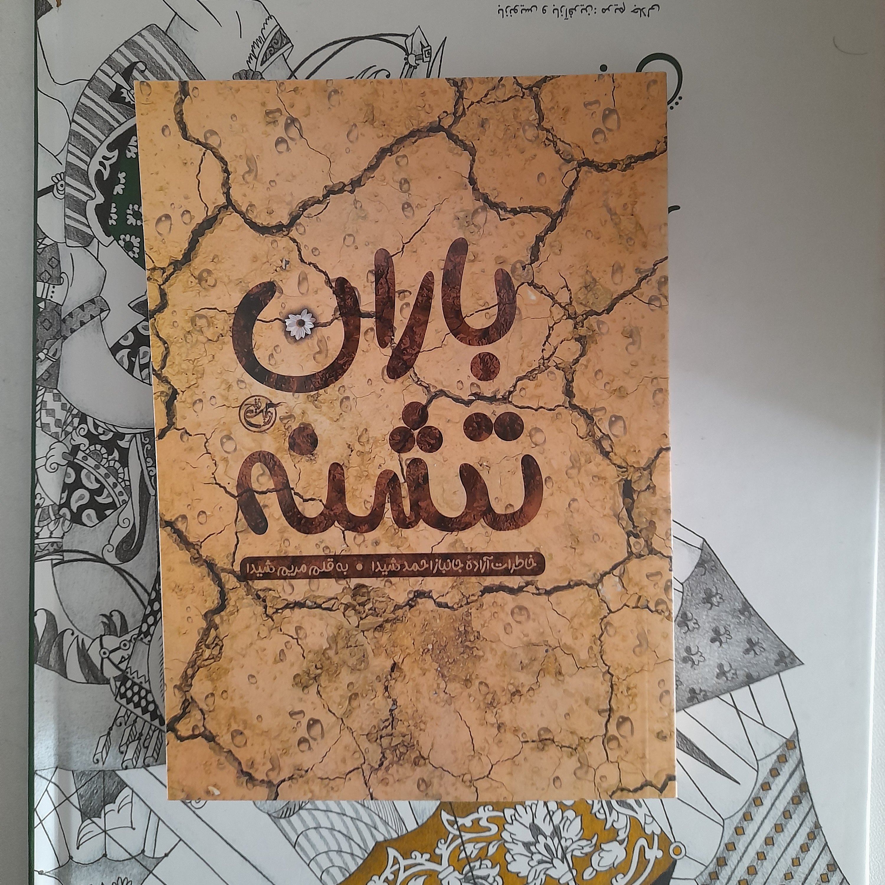 کتاب باران تشنه،خاطرات آزاده جانبازاحمدشیدا،به قلم مریم شیدا،انتشارات روایت فتح 