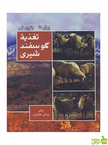تغذیه گوسفند شیری بنچینی آییژ - سیب ترش - SibTorsh