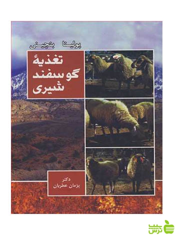 تغذیه گوسفند شیری بنچینی آییژ - سیب ترش - SibTorsh