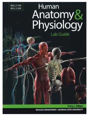 [PDF] دانلود کتاب Human Anatomy &amp; Physiology Lab Guide, 2020