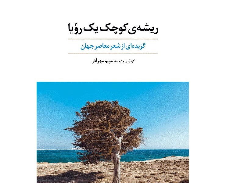 ریشه ی کوچک یک رویا